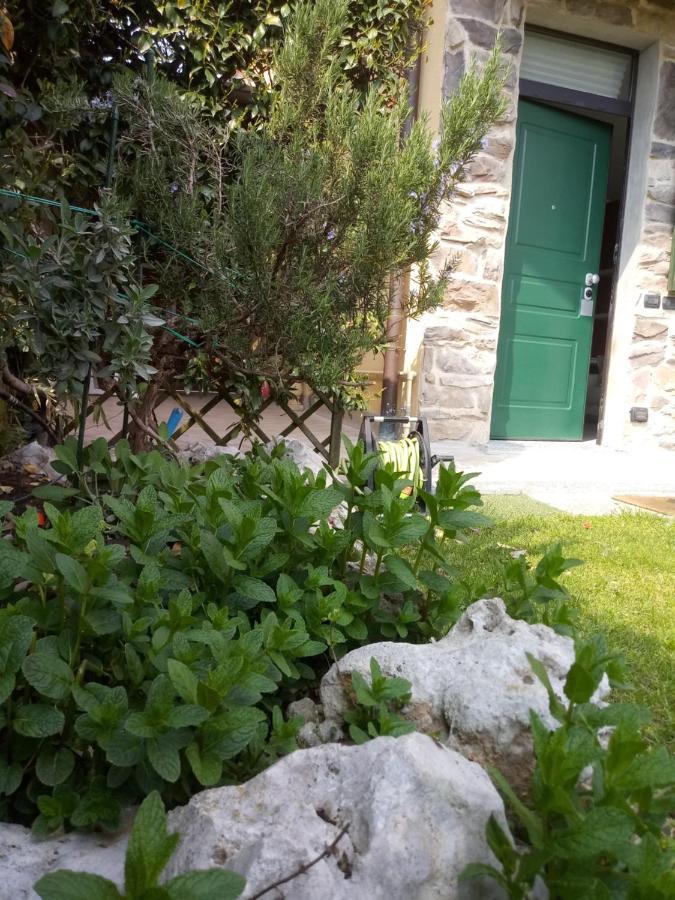 ויצולה טיצ'ינו B&B Malpensa Ticino Valley מראה חיצוני תמונה